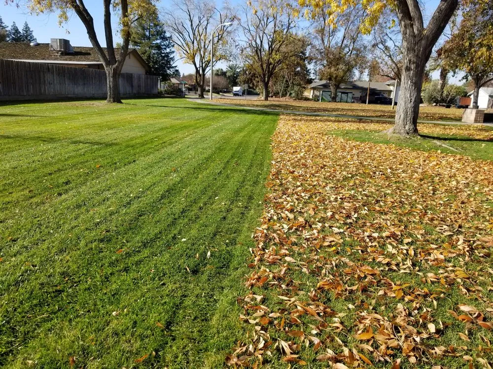 Reliable lawn care service experts serving Visalia, CA - Advanced Landscape Management