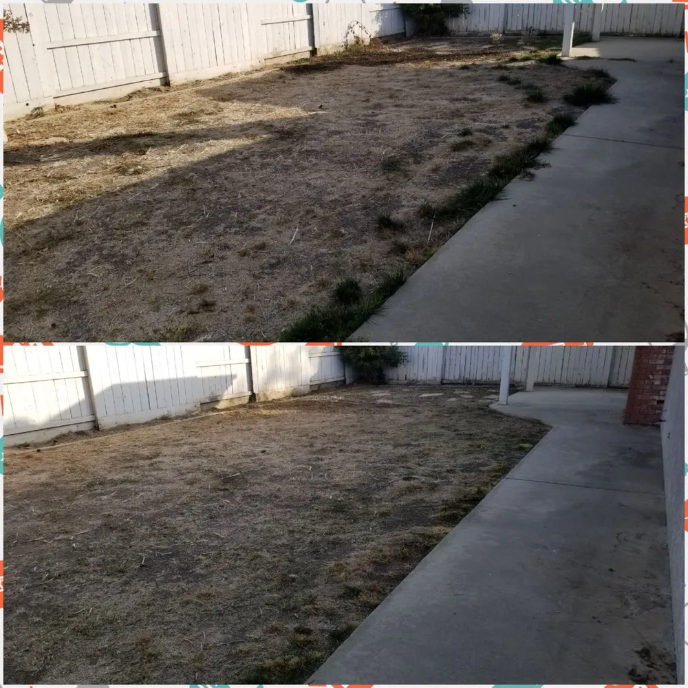 Custom lawn care service experts serving Visalia, CA - Advanced Landscape Management