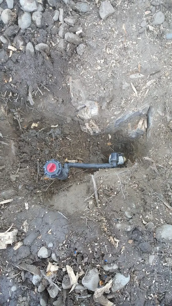 Affordable landscape design experts serving Visalia, CA - Advanced Landscape Management