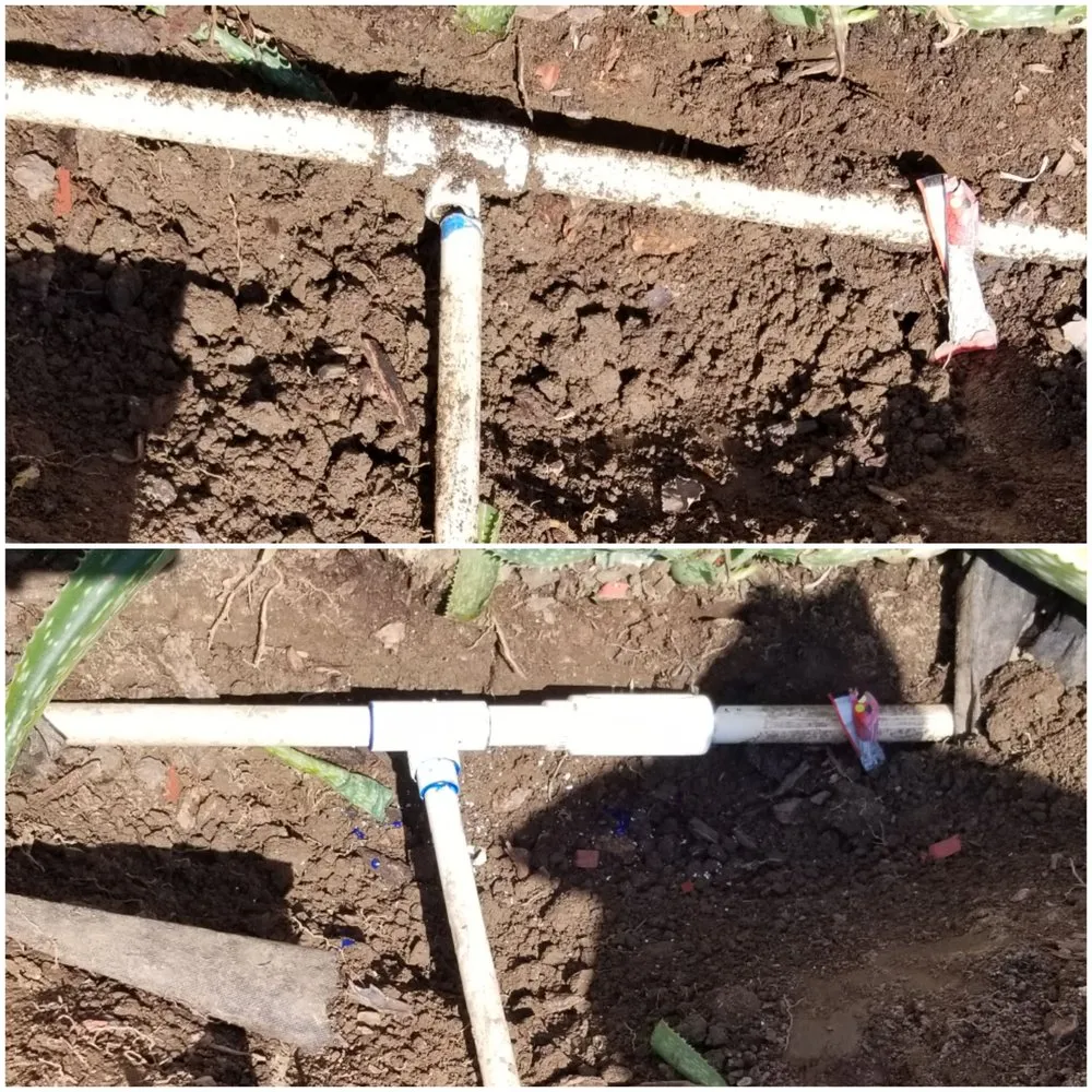 Affordable landscaping services in Visalia, CA - Advanced Landscape Management