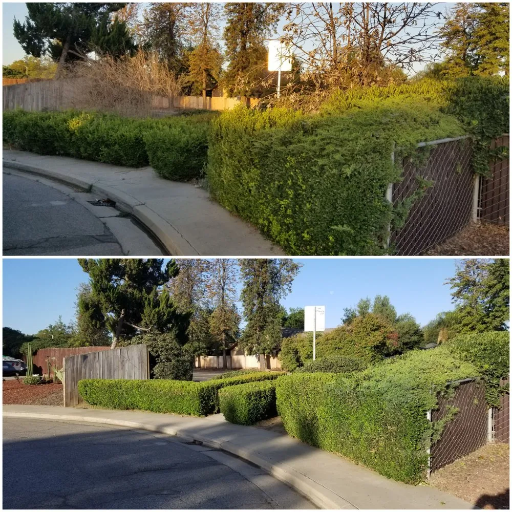 Professional garden landscaping in Visalia, CA - Advanced Landscape Management