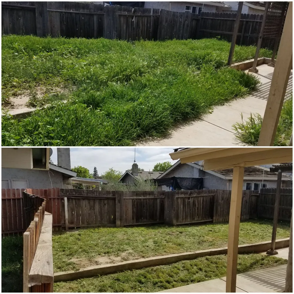 Professional landscape installation for residential properties in Visalia, CA by Advanced Landscape Management