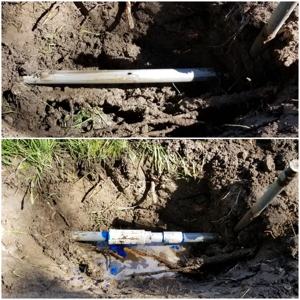 Local landscaping services for beautiful yards in Visalia, CA by Advanced Landscape Management