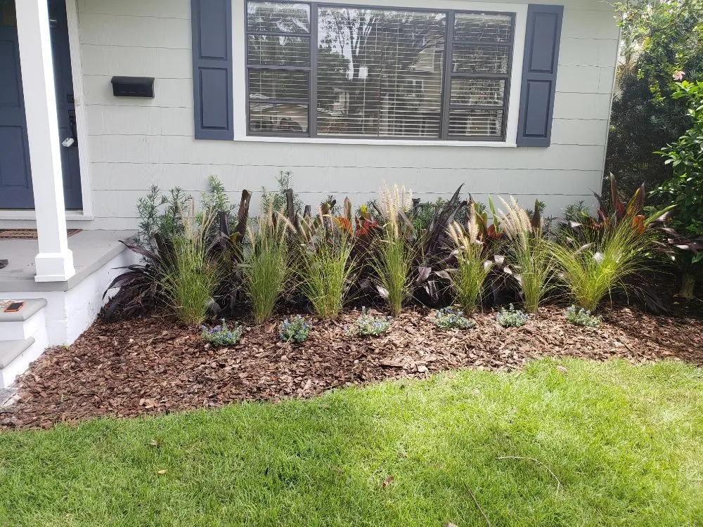 Reliable lawn care service experts serving Saint Petersburg, FL - Advanced landscape