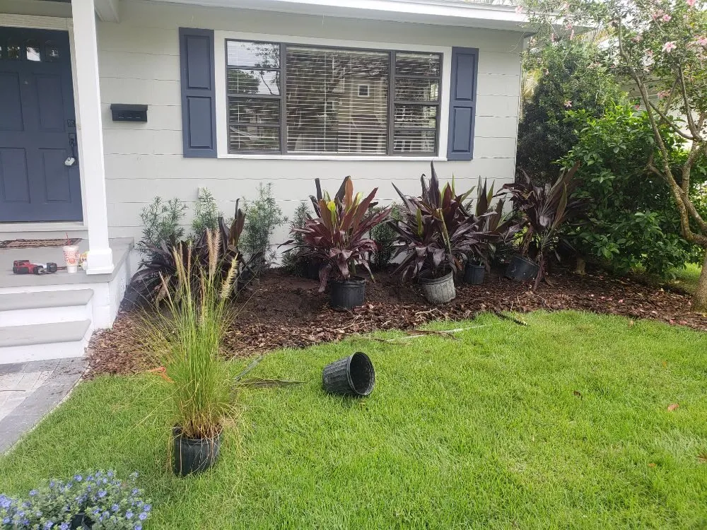 Local landscape installation in Saint Petersburg, FL by Advanced landscape