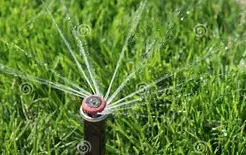 Affordable garden landscaping experts serving Saint Petersburg, FL - Advanced landscape