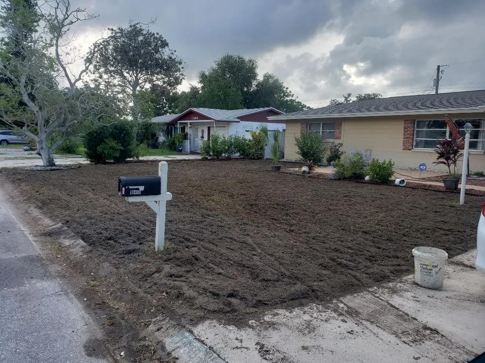 Trusted yard maintenance with custom design across Saint Petersburg, FL - Advanced landscape