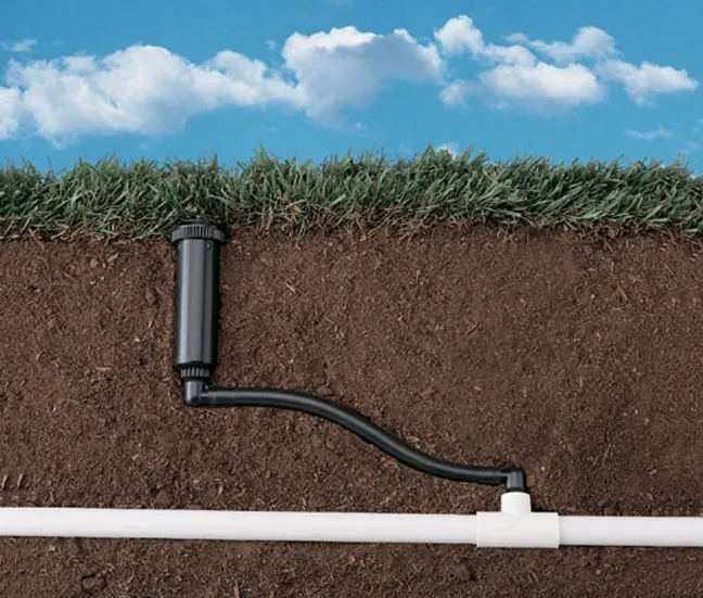 Top-rated landscape installation for homes in Saint Petersburg, FL by Advanced landscape