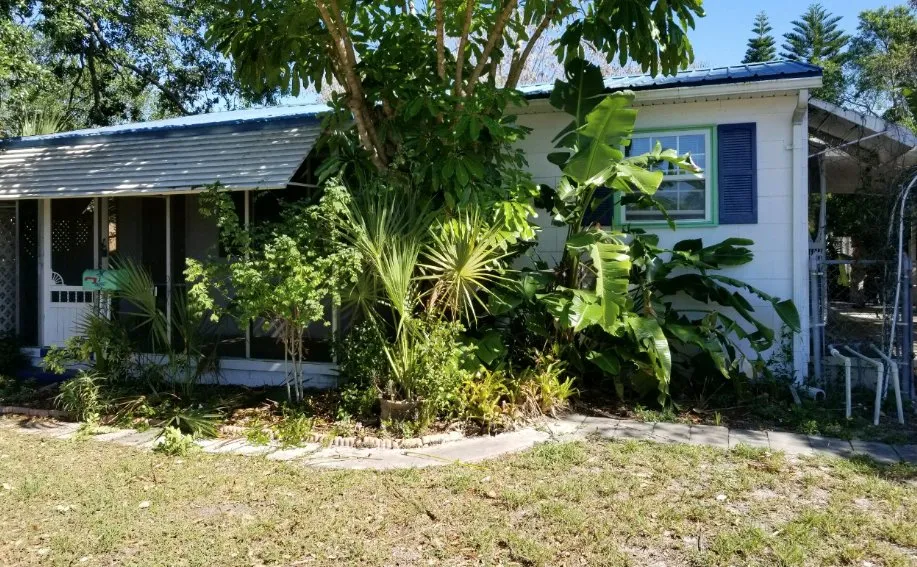 Custom lawn mowing service in Saint Petersburg, FL - Advanced landscape