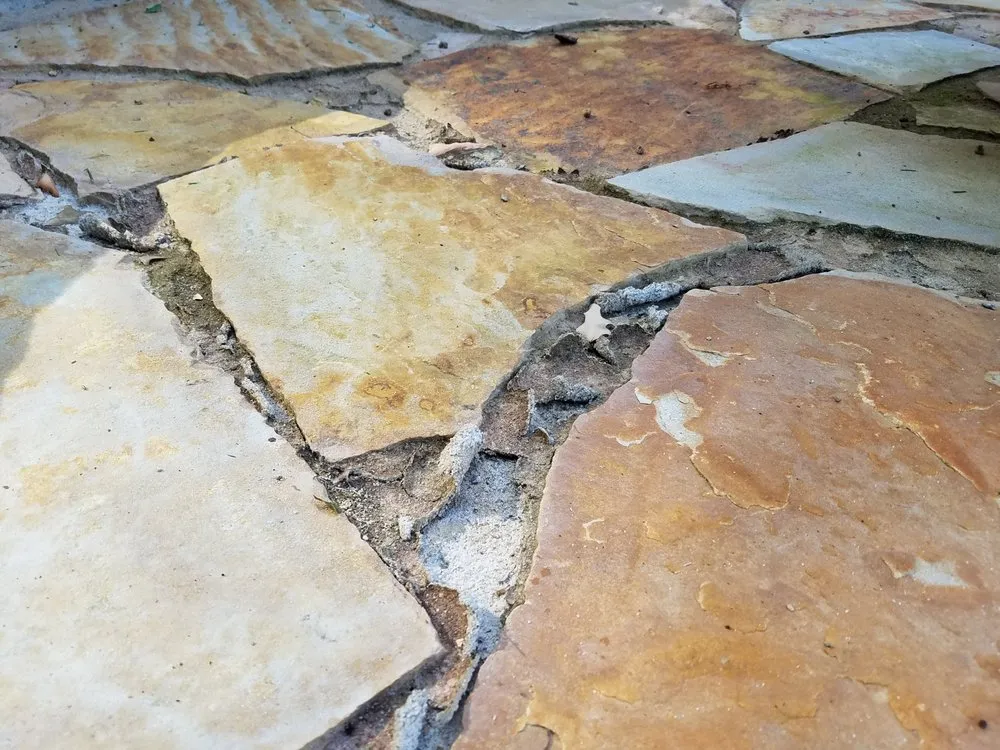 Professional yard cleanup service in Morristown, TN by Advanced Landscape Services