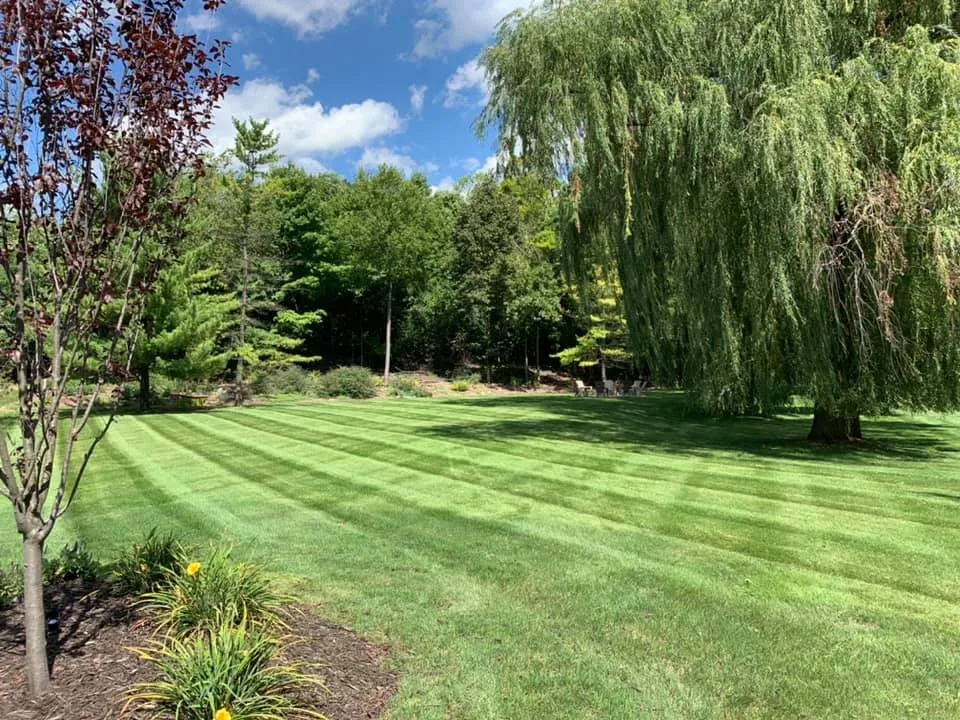 Professional outdoor landscaping in Livonia, MI by Advanced Landscape Solutions