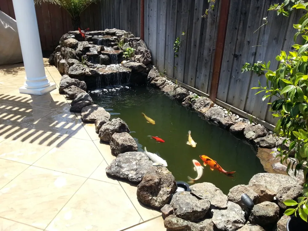 Professional landscape installation in San Jose, CA - Advanced Landscape Systems