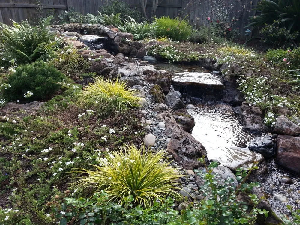 Expert yard maintenance in San Jose, CA - Advanced Landscape Systems