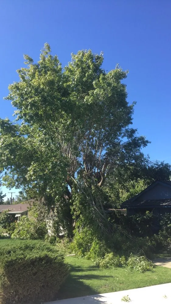 Local lawn care service experts serving Yucaipa, CA - Advanced Landscaping & Maintenance