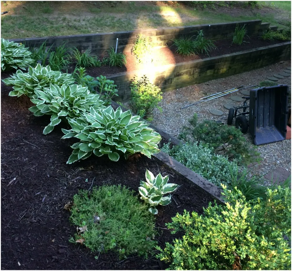 Local lawn mowing service in Ann Arbor, MI - Advanced Landscaping