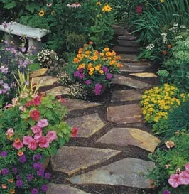 Top-rated landscape installation in Asheville, NC - Advanced Landscaping