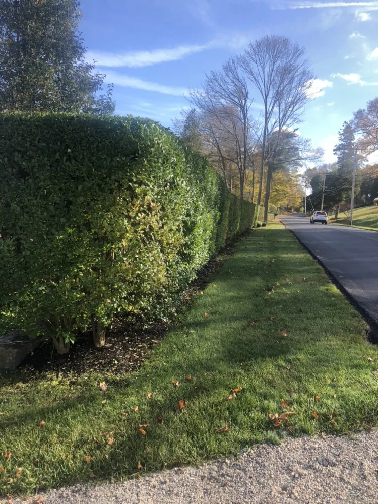 Trusted garden landscaping in Duxbury, MA - Advanced Landscaping