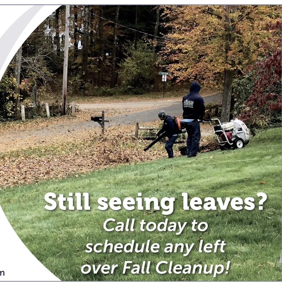 Professional landscaping services experts serving Duxbury, MA - Advanced Landscaping