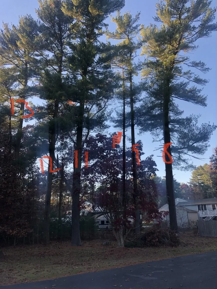 Trusted lawn mowing service in Duxbury, MA by Advanced Landscaping