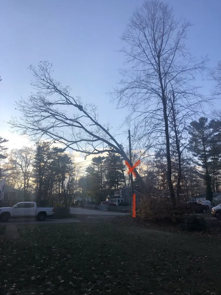 Trusted garden landscaping for year-round maintenance in Duxbury, MA by Advanced Landscaping