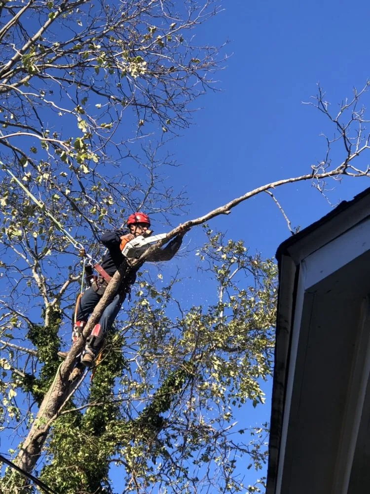 Reliable landscaping services for year-round maintenance across Duxbury, MA - Advanced Landscaping