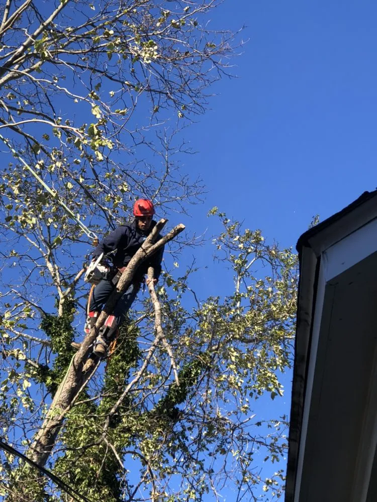 Trusted yard maintenance in Duxbury, MA - Advanced Landscaping