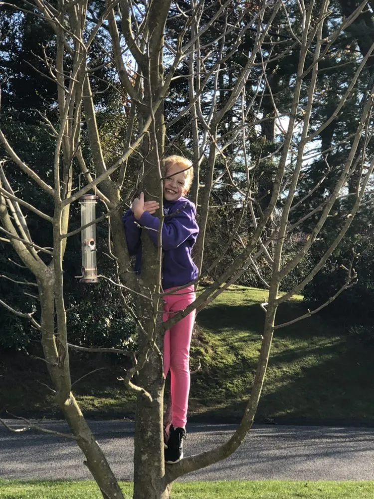 Reliable lawn care service in Duxbury, MA by Advanced Landscaping