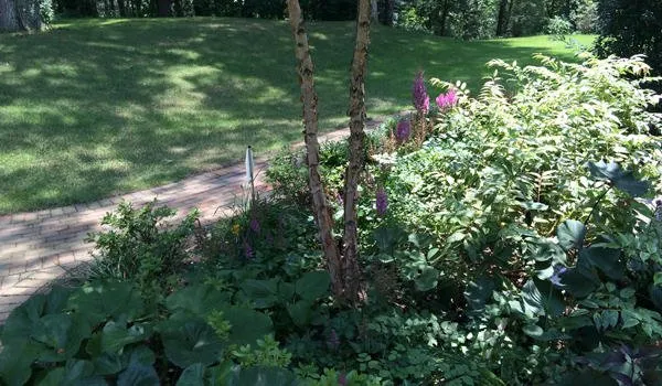 Professional residential landscaping in Duxbury, MA by Advanced Landscaping