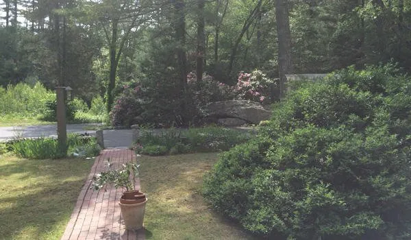 Expert landscaping services in Duxbury, MA - Advanced Landscaping