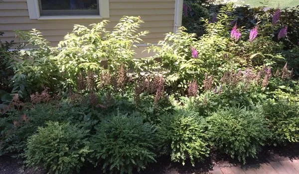 Custom landscape design for homes across Duxbury, MA - Advanced Landscaping