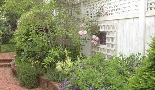 Reliable yard maintenance in Duxbury, MA by Advanced Landscaping