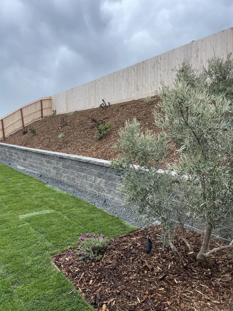 Local yard maintenance for outdoor upgrades across Fresno, CA - Advanced Landscaping