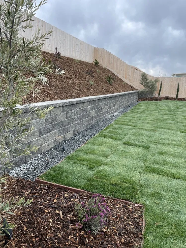 Professional residential landscaping in Fresno, CA - Advanced Landscaping