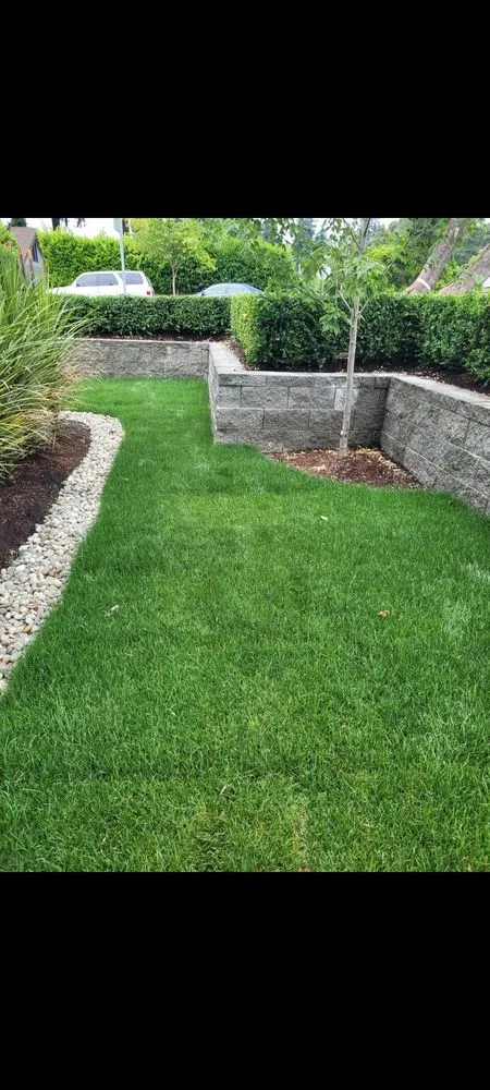 Affordable yard cleanup service in Gold Bar, WA by Advanced landscaping