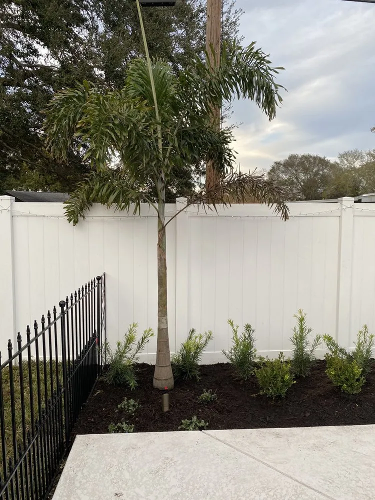 Custom landscaping services experts serving Largo, FL - Advanced Landscaping Services