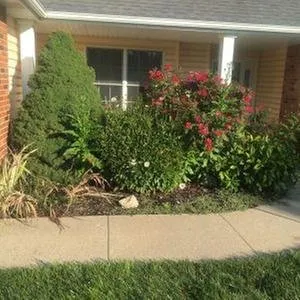 Custom landscape design for beautiful yards across Colorado Springs, CO - Advanced Landscaping Solutions