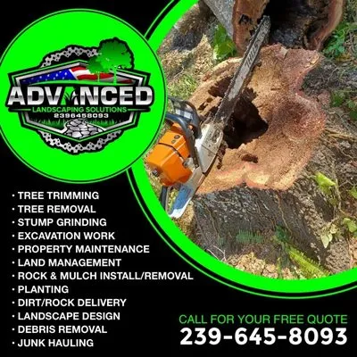 Advanced Landscaping Solutions Logo
