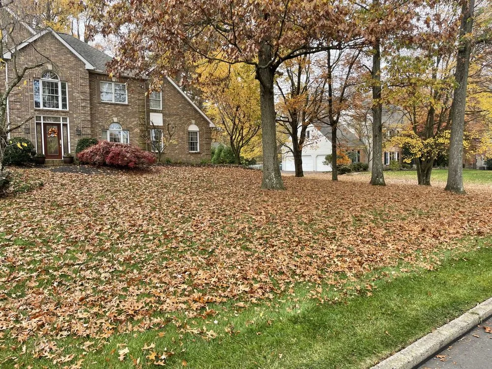 Custom outdoor landscaping experts serving Ivyland, PA - Advanced Lawn & Landscape
