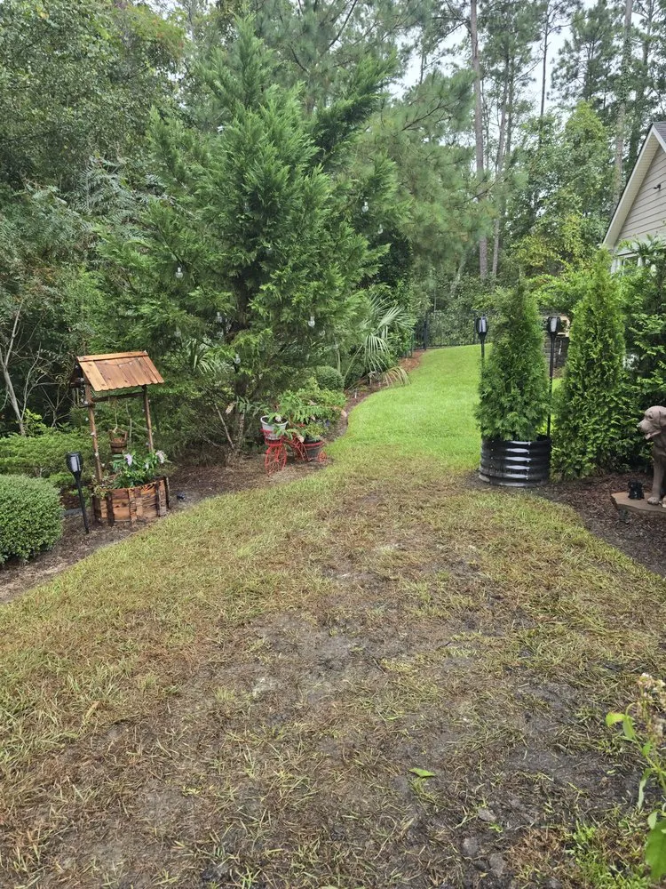 Trusted lawn care service for beautiful yards across Myrtle Beach, SC - Advanced Lawn & Landscape