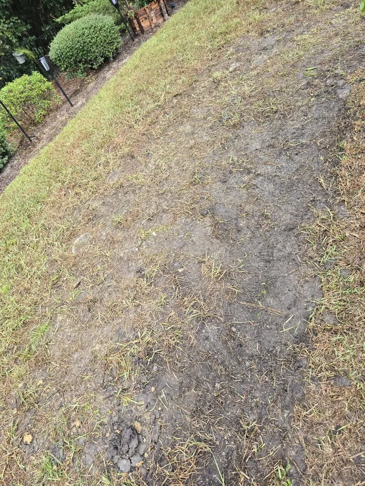 Custom lawn care service in Myrtle Beach, SC - Advanced Lawn & Landscape