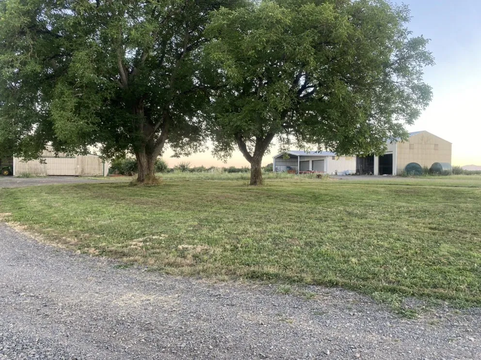 Trusted landscaping services for beautiful yards in Amity, OR by Advanced Lawn Care