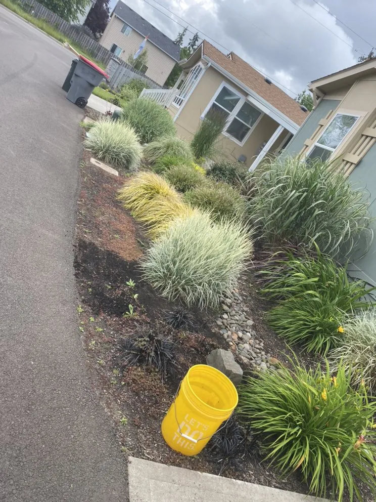 Local yard maintenance with custom design across Amity, OR - Advanced Lawn Care