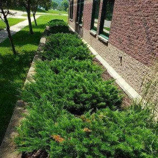 Reliable garden landscaping with custom design across Rochester, MN - Advanced Lawn Services
