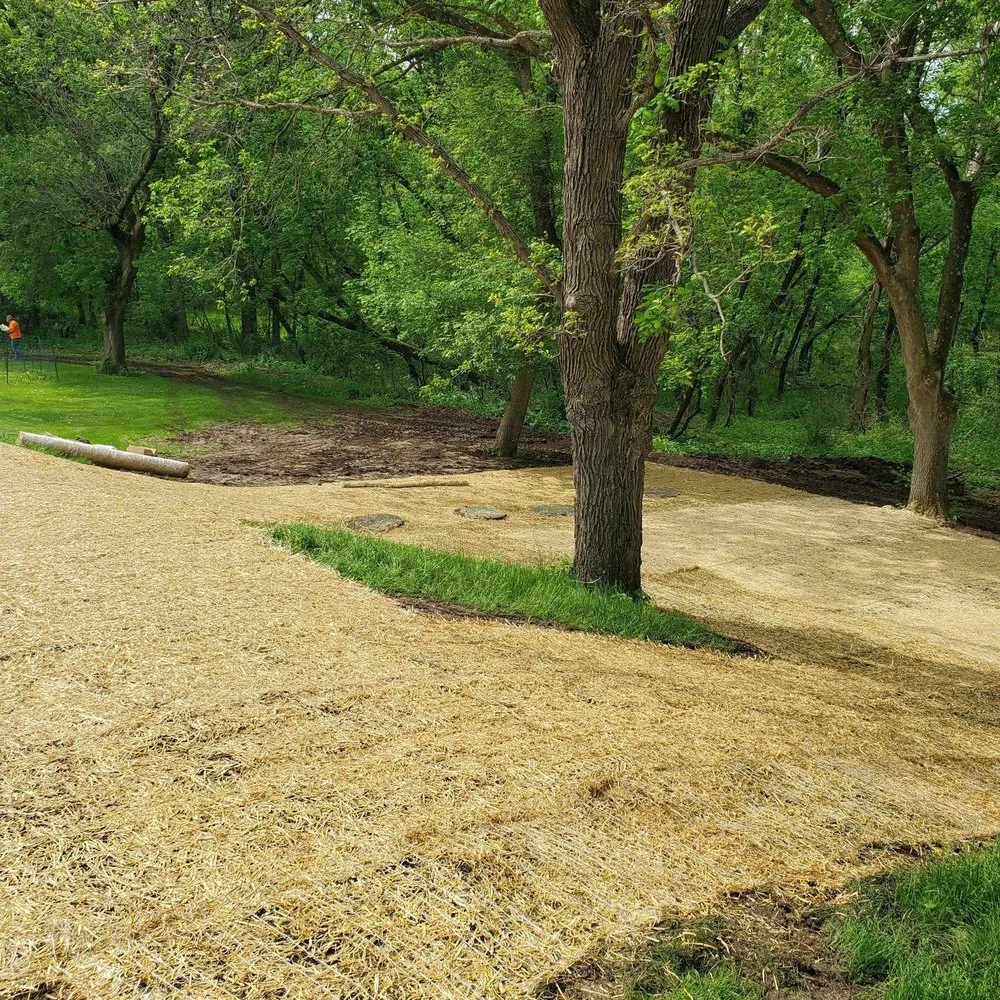 Expert yard cleanup service for year-round maintenance in Rochester, MN by Advanced Lawn Services