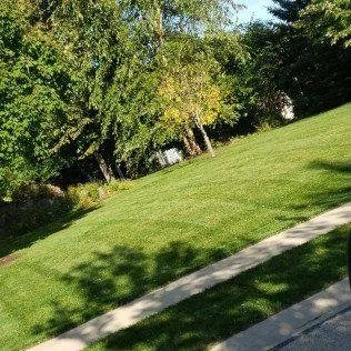 Affordable yard maintenance experts serving Rochester, MN - Advanced Lawn Services