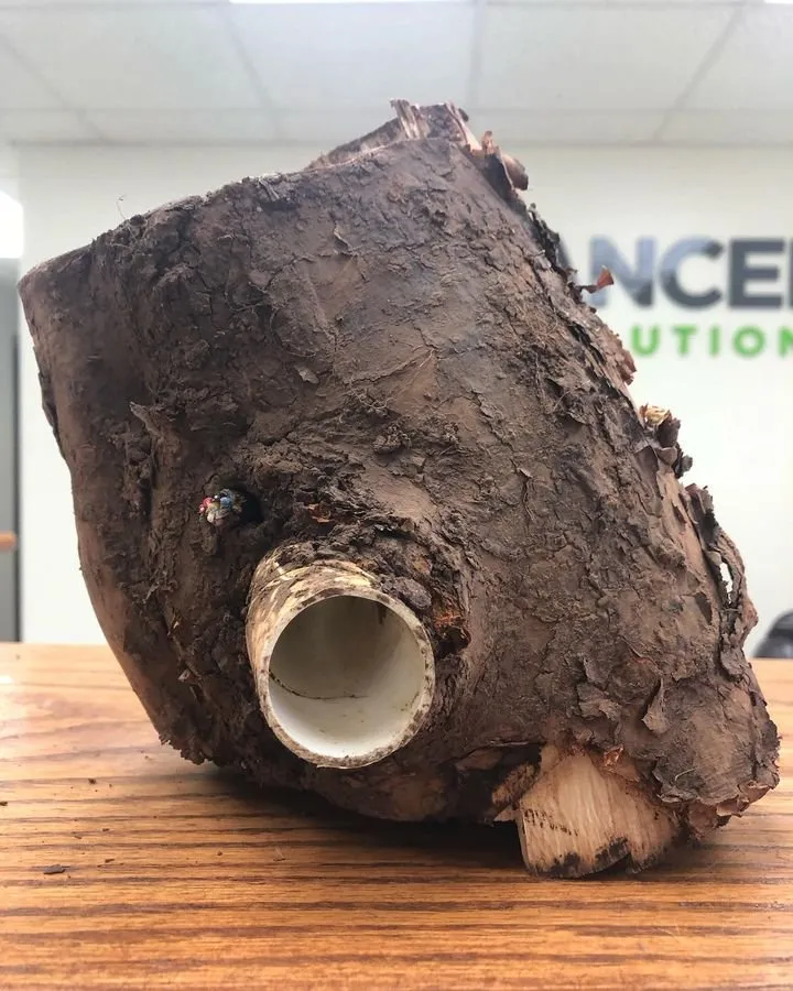 Affordable residential landscaping in Murfreesboro, TN - Advanced Lawn Solutions