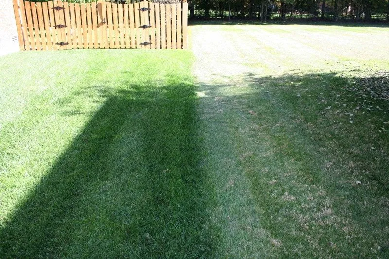 Trusted garden landscaping in Murfreesboro, TN - Advanced Lawn Solutions