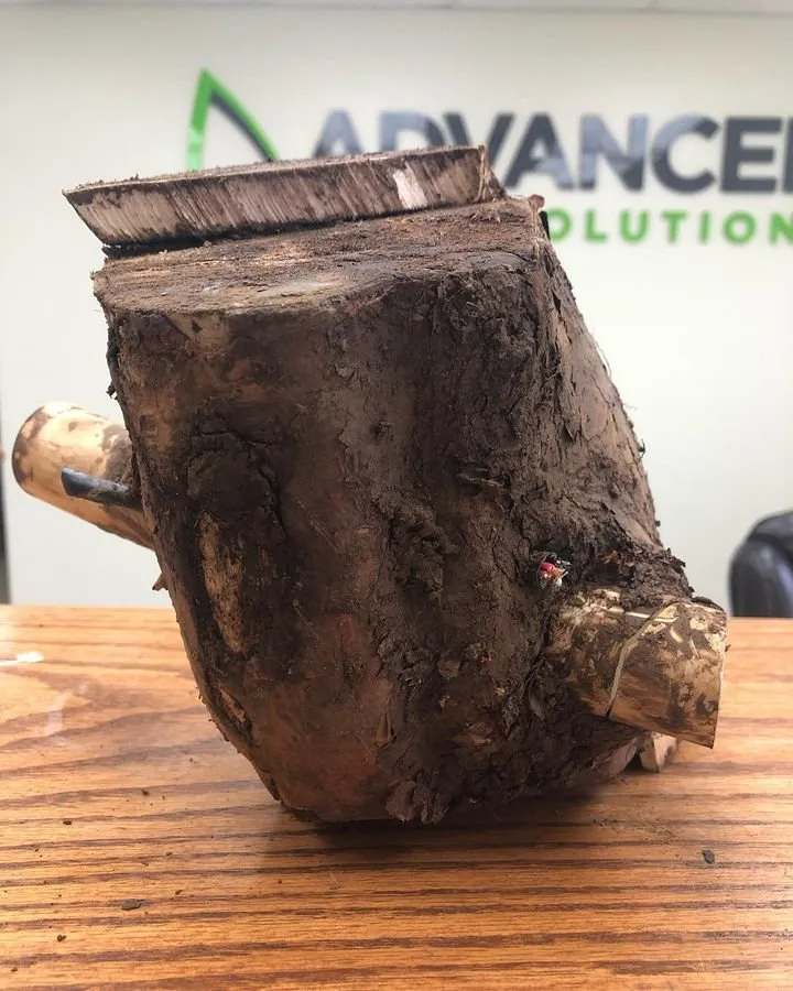 Trusted lawn mowing service in Murfreesboro, TN - Advanced Lawn Solutions