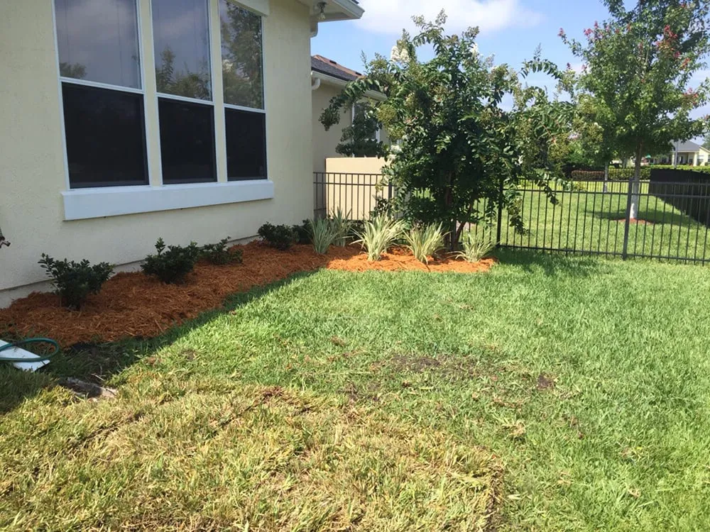 Trusted yard cleanup service in Fleming Island, FL by Advanced Lawn Technology