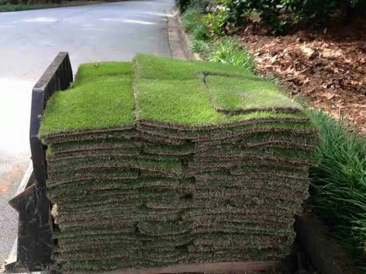 Affordable lawn mowing service in Fleming Island, FL - Advanced Lawn Technology